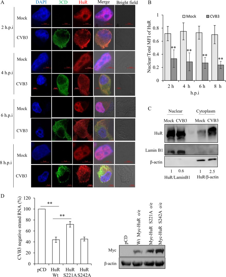 FIG 4