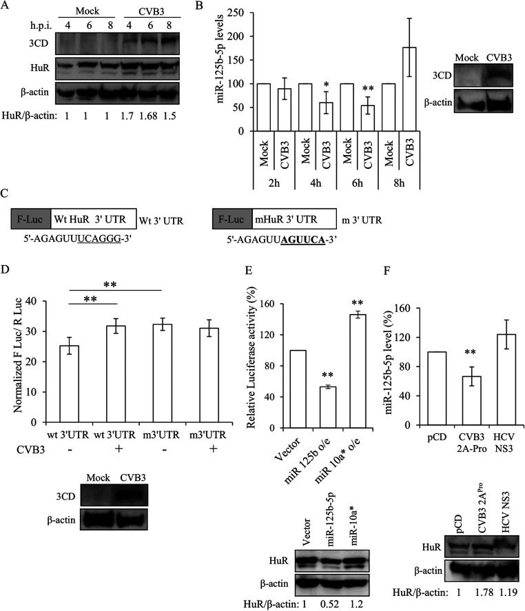 FIG 3