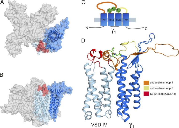 Figure 6.