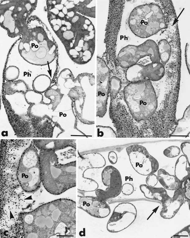 FIG. 5