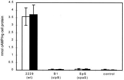 FIG. 5