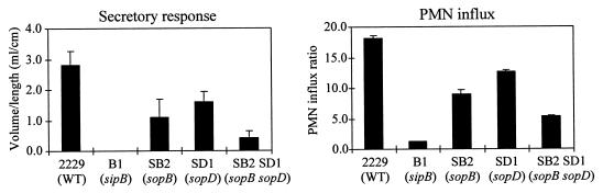 FIG. 6