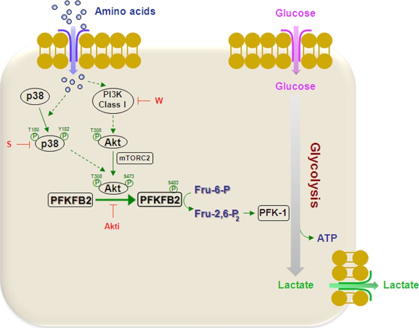 FIGURE 11.