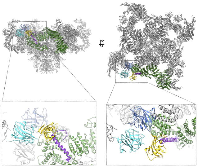Extended data figure 9