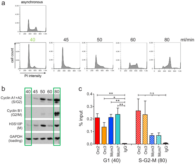 Figure 1—figure supplement 1.