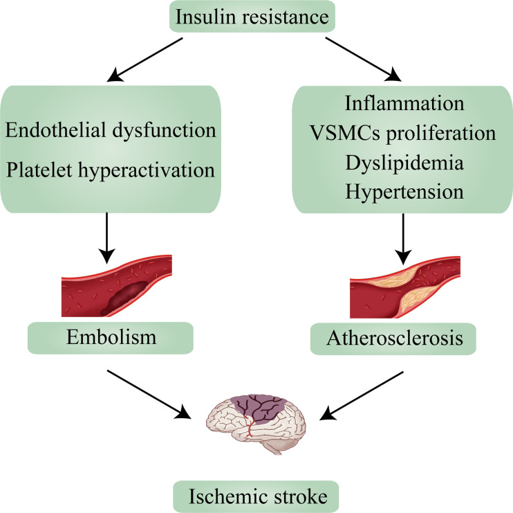 Figure 2