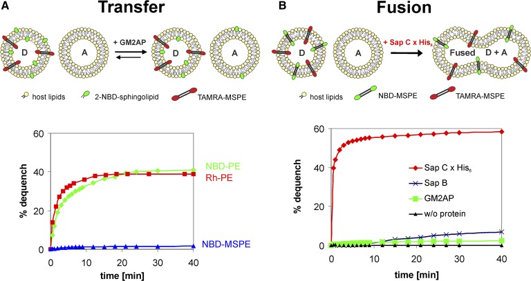 Fig. 6.