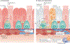 Fig. 4 |