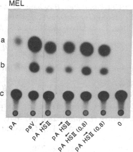 graphic file with name pnas00248-0046-a.jpg