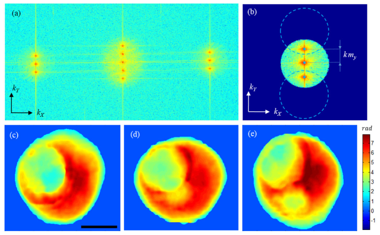 Fig. 4