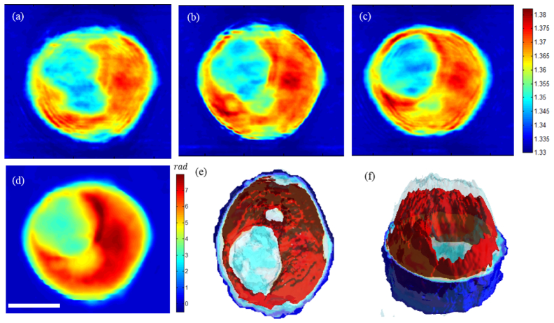 Fig. 6