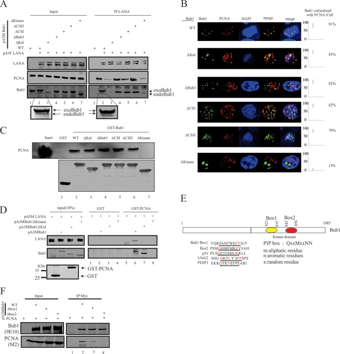 FIG 3