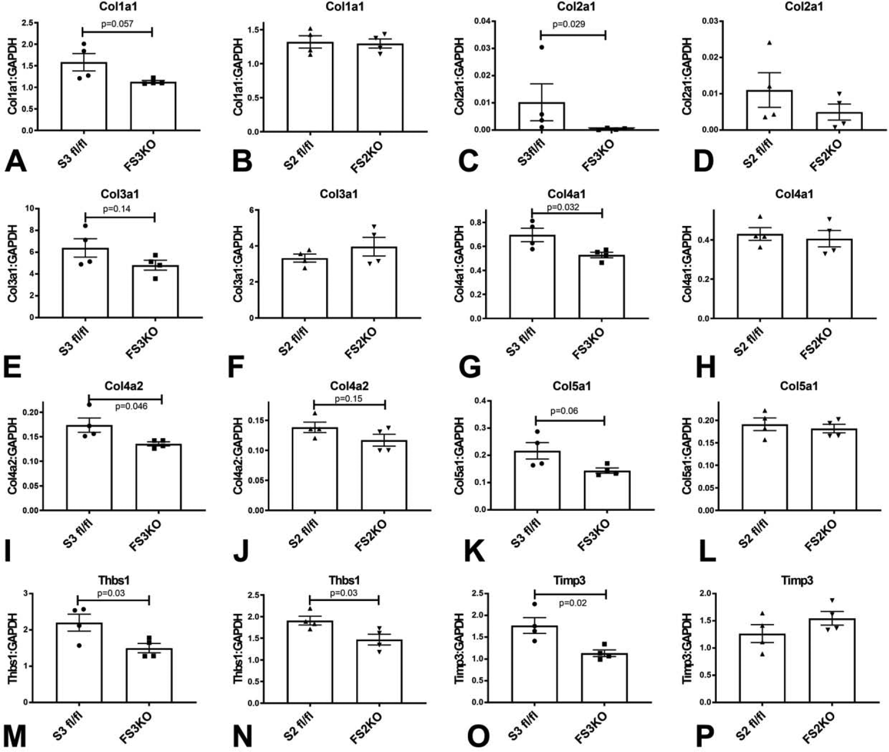 Figure 11: