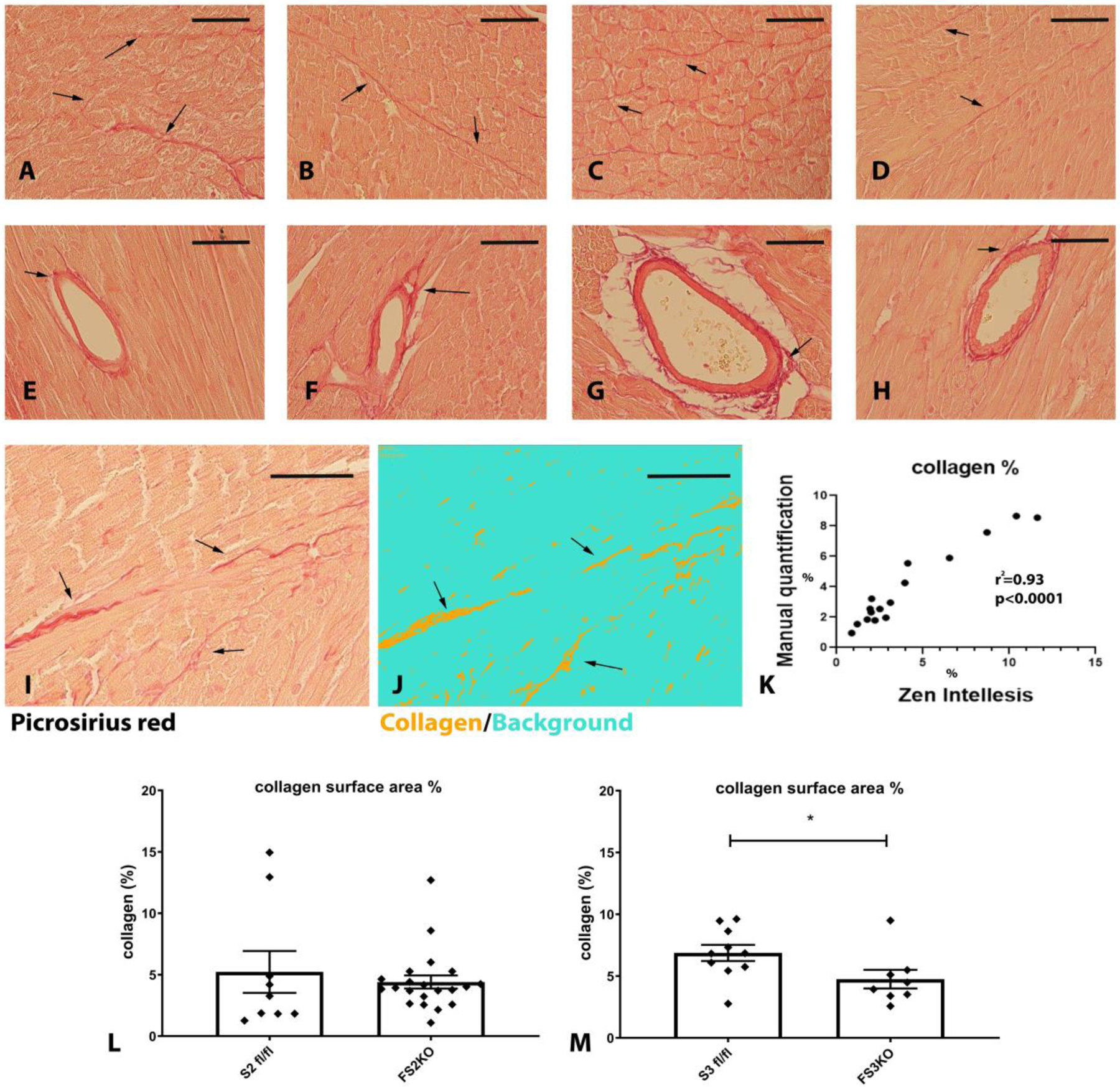 Figure 10: