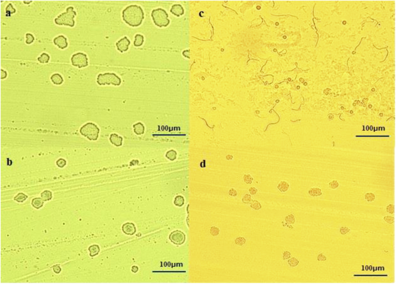 Figure 4