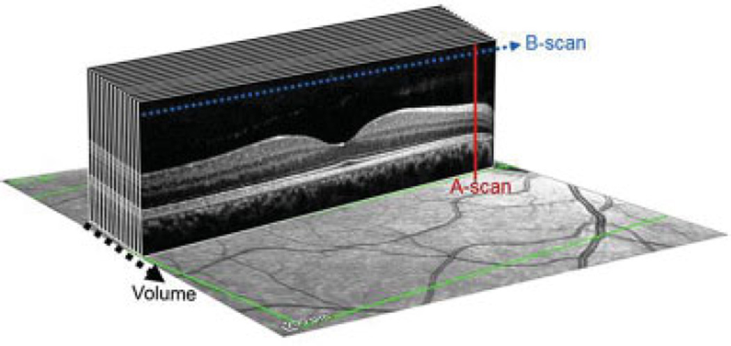 Fig. 1