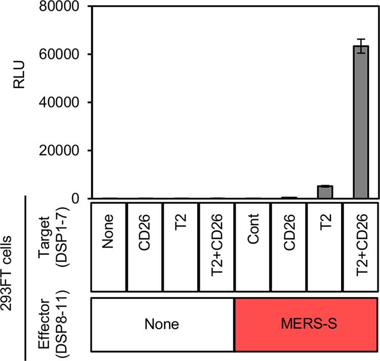 FIG 2