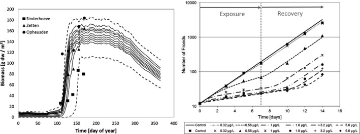 Figure 35