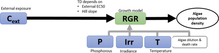 Figure 31