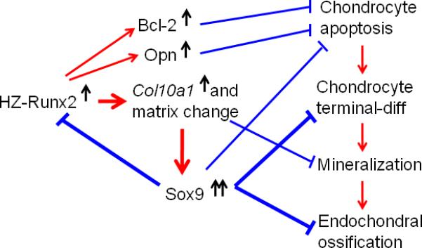 FIG.7