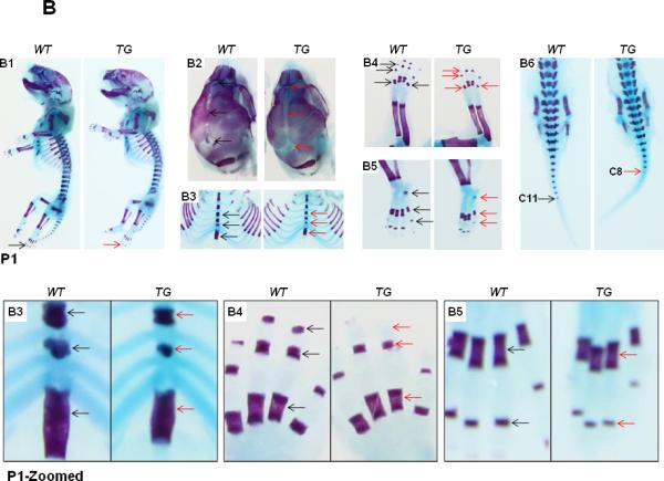 FIG.3