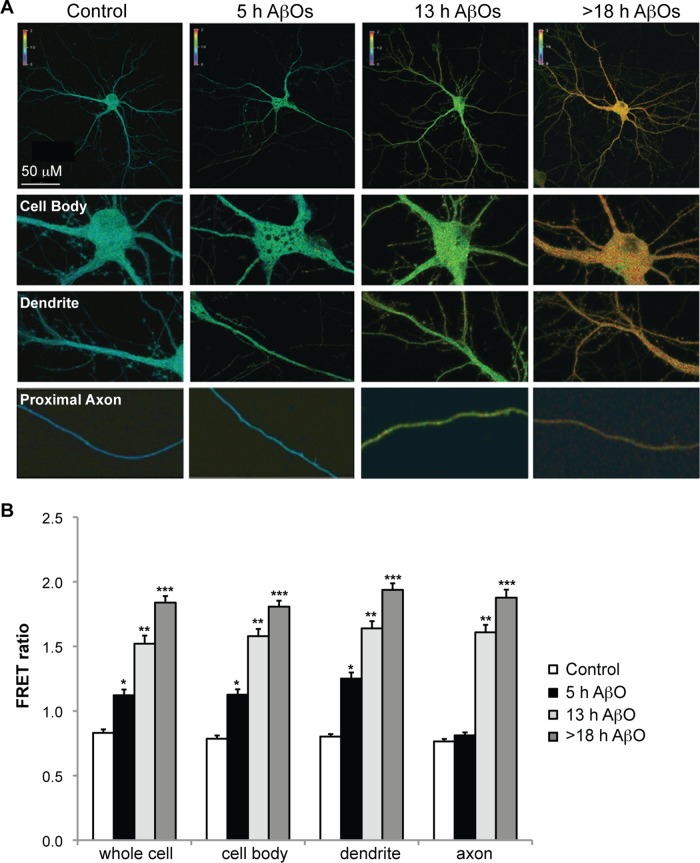 FIGURE 2: