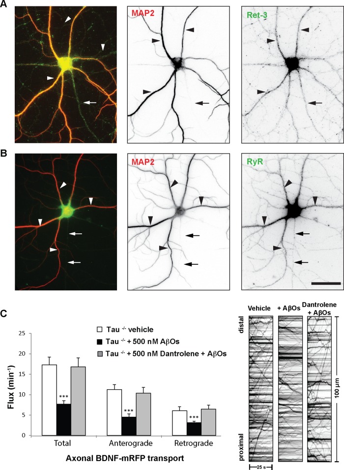 FIGURE 6: