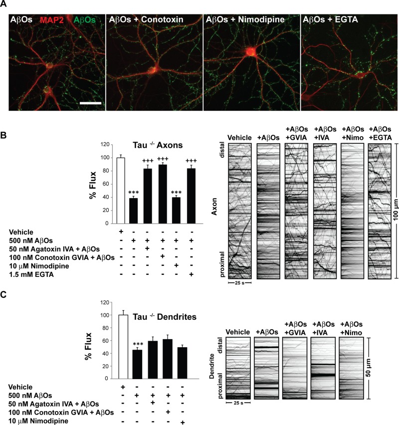 FIGURE 5: