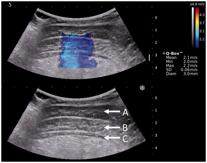 Fig. 1.