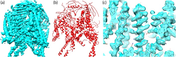 Figure 7