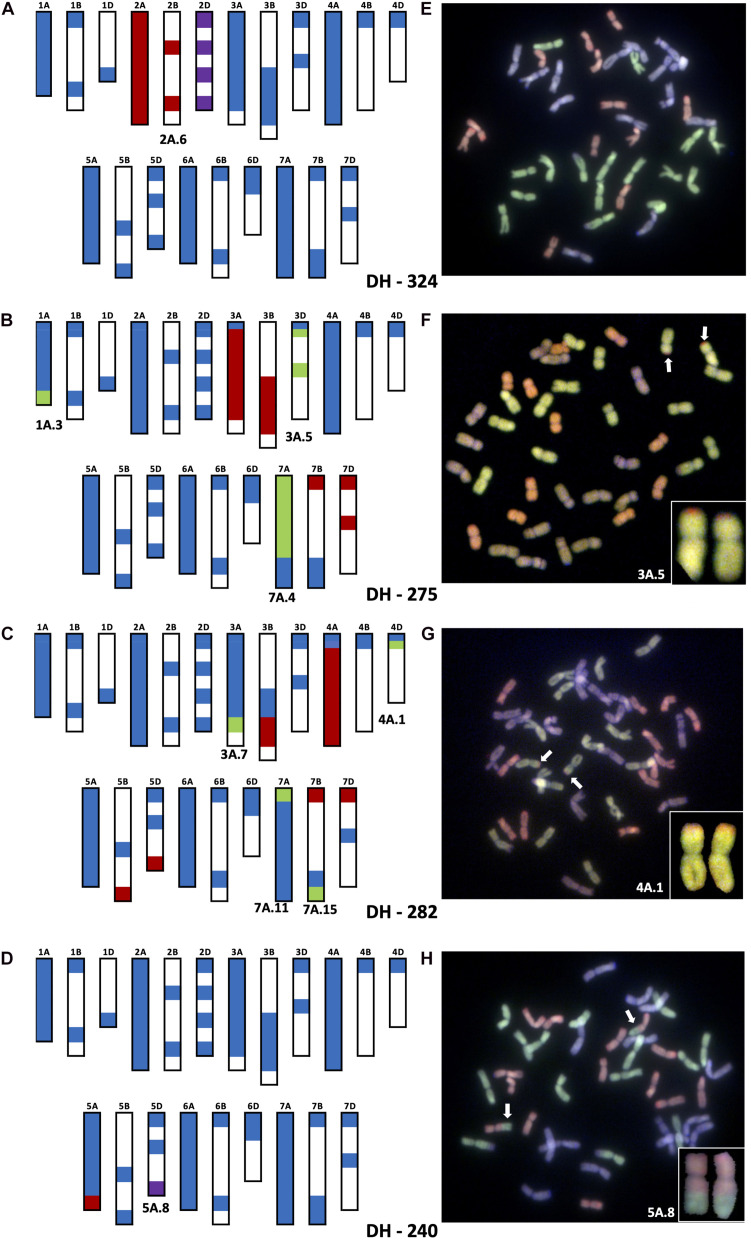 FIGURE 2