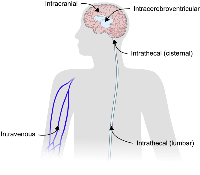 Figure 2