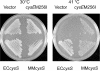 FIG. 3.