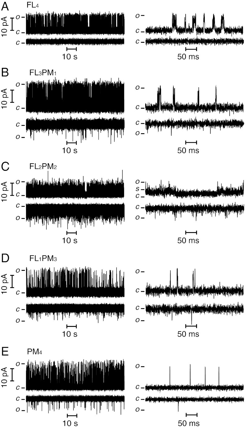 Fig. 3.