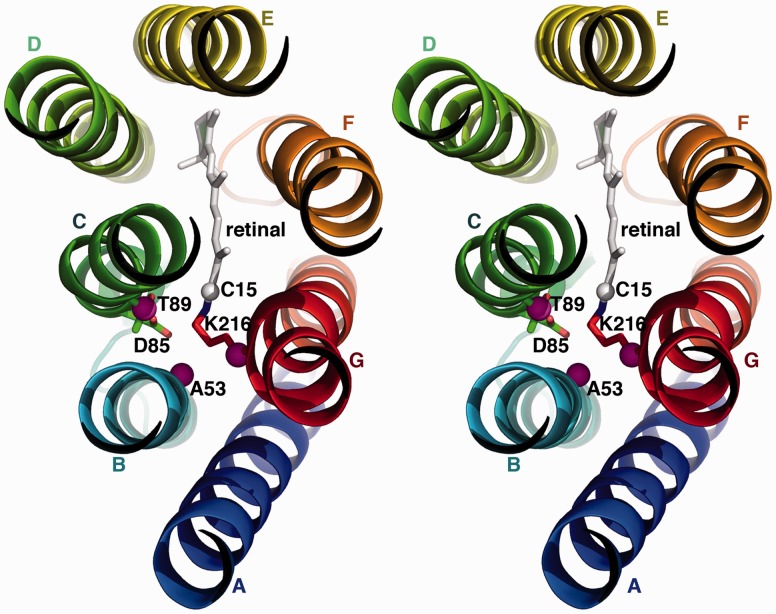 Fig. 4.