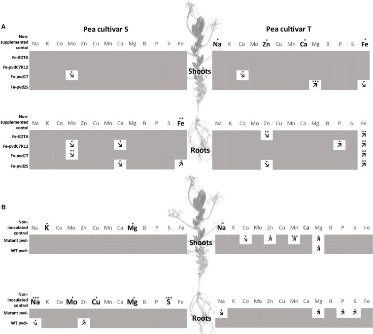 FIGURE 3