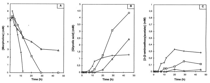 FIG. 6