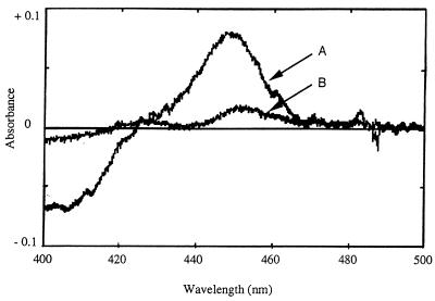 FIG. 7