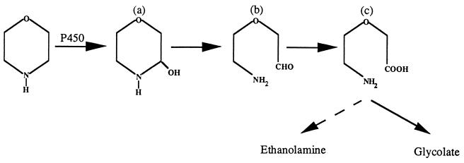 FIG. 8