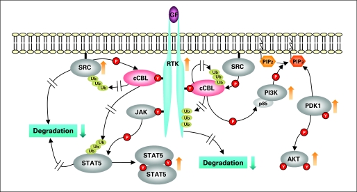 Fig 4.