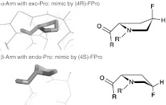 Fig. 6