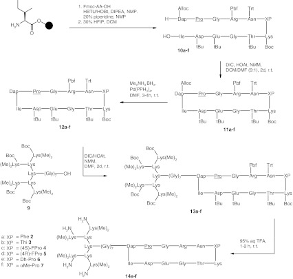 Scheme 1