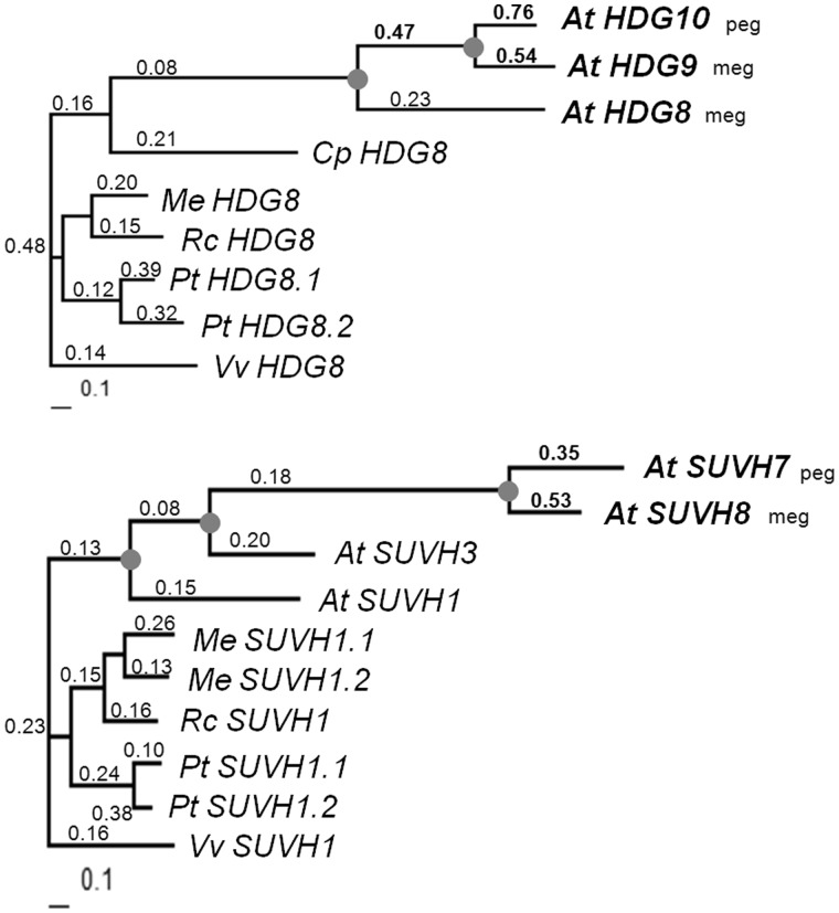 Fig. 5.—