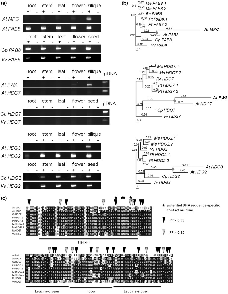 Fig. 4.—