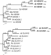 F<sc>ig</sc>. 5.—