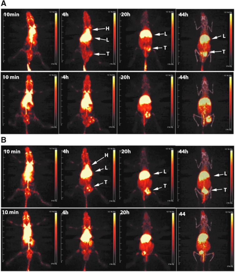 FIG. 6.