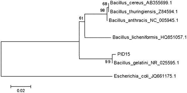 Fig. 2