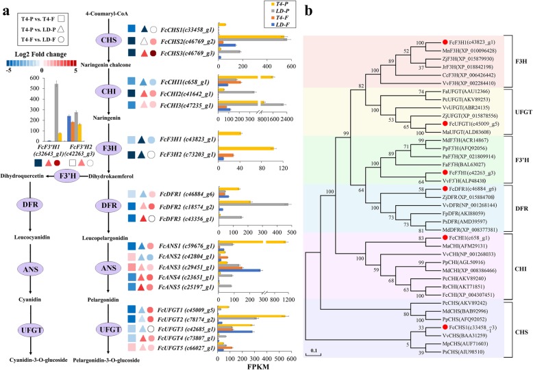 Fig. 4