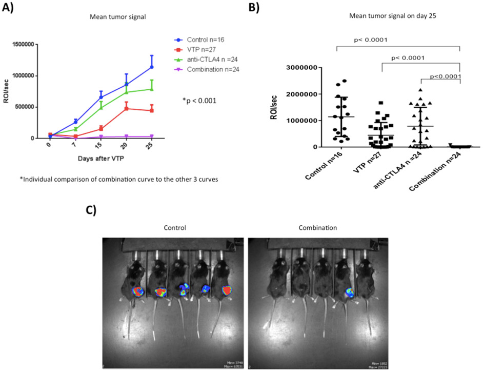 Figure 2 –