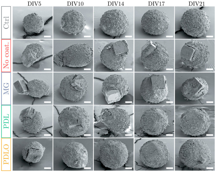 Figure 15